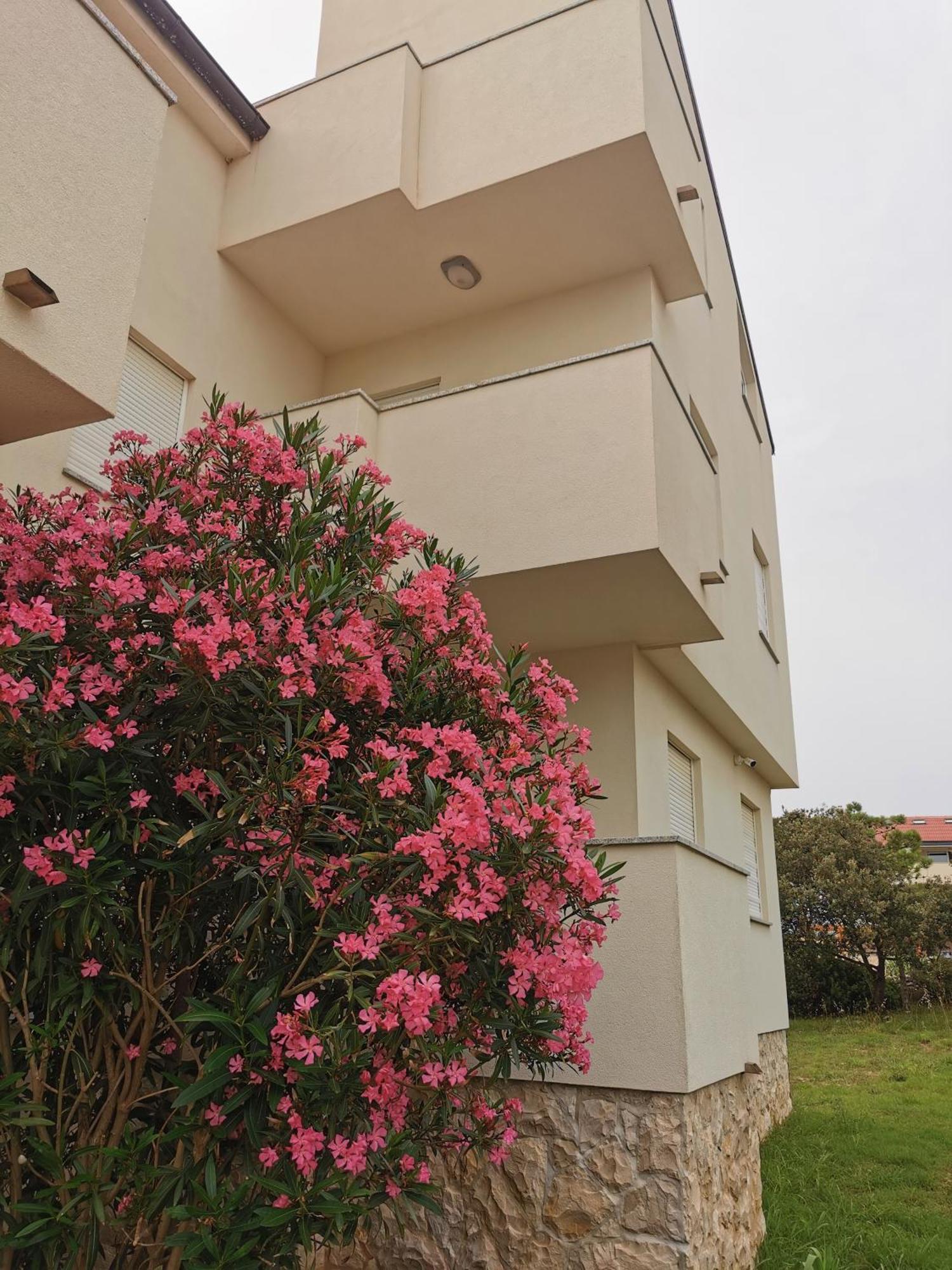 Apartments Riva Повляна Екстер'єр фото